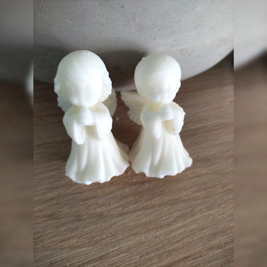 Duos de petits Anges - Fleur de Noël 80g