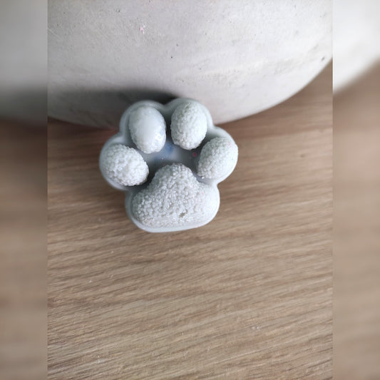 La p'tite Patoune - Fleur de Noël 30g