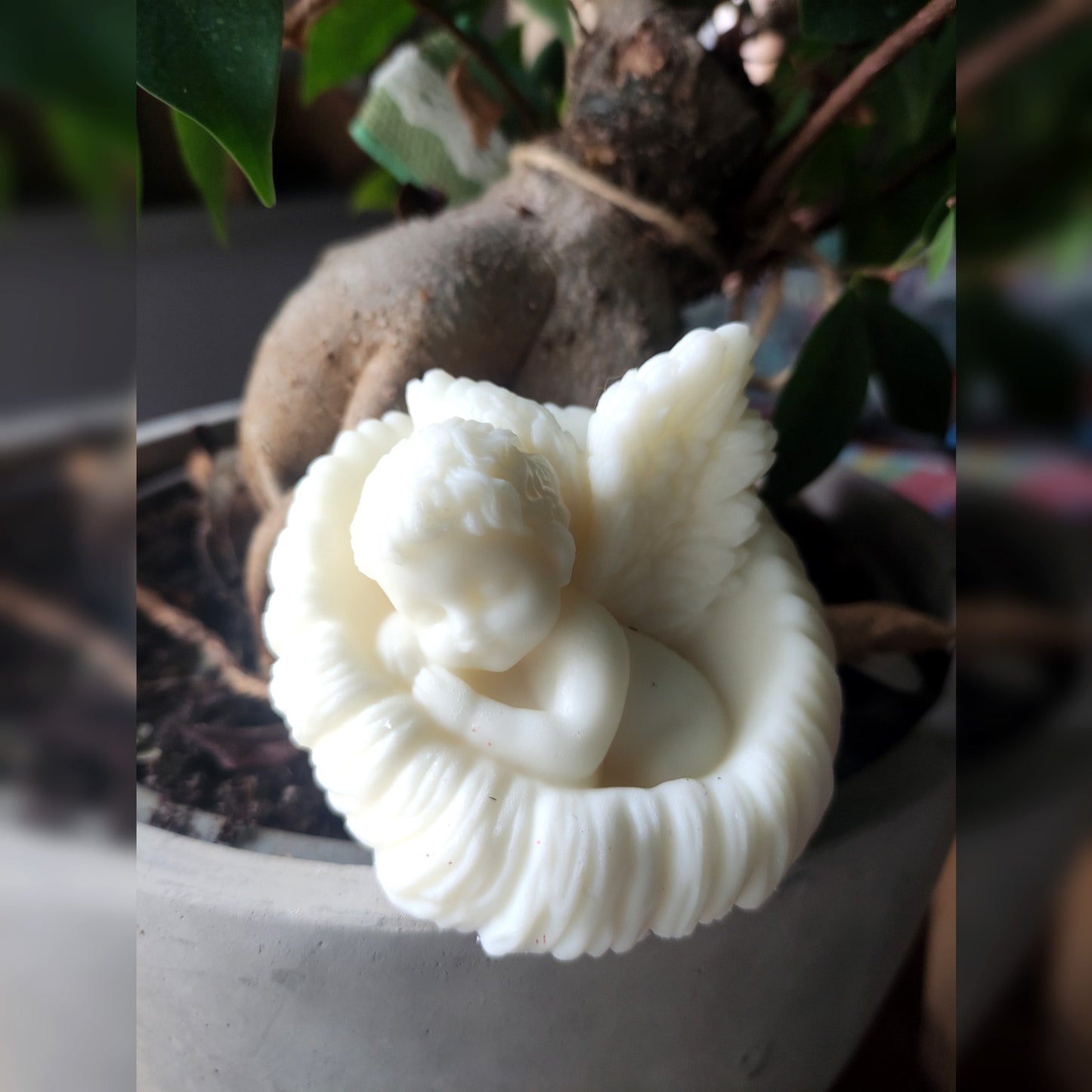 Mon Ange Endormi - Cèdre 140g