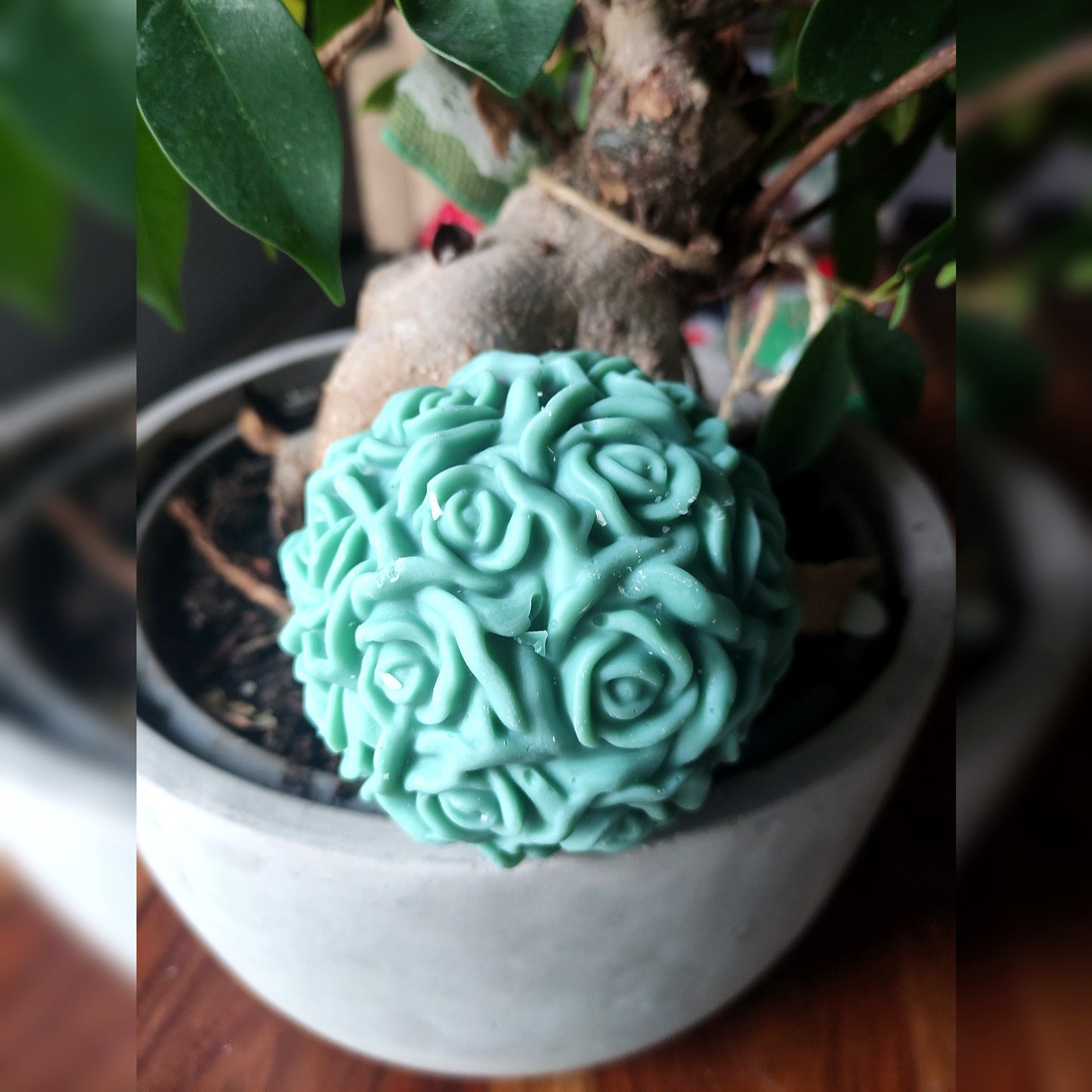 La Rose Boule - Cèdre 225g