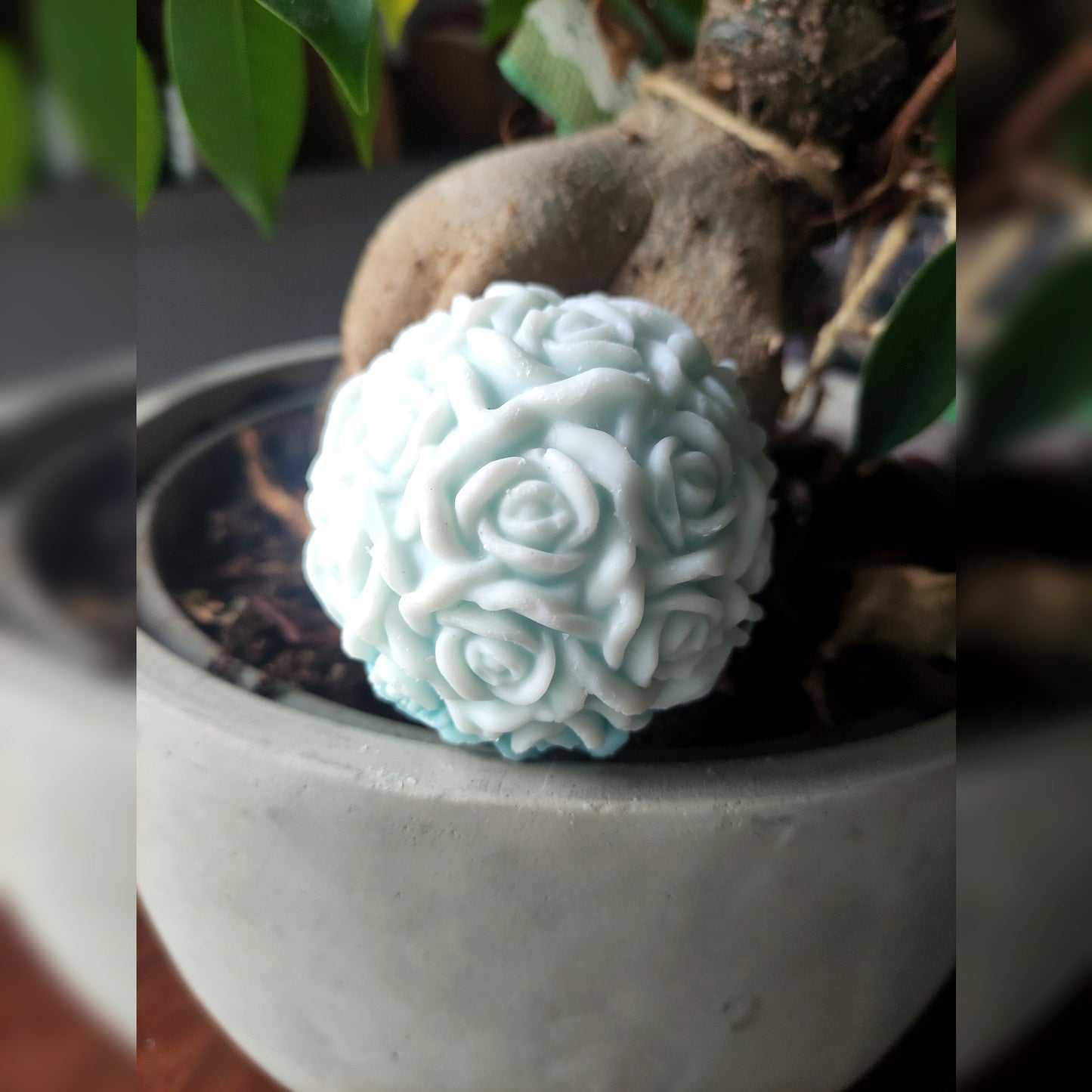 La Rose Boule - Cèdre 110g