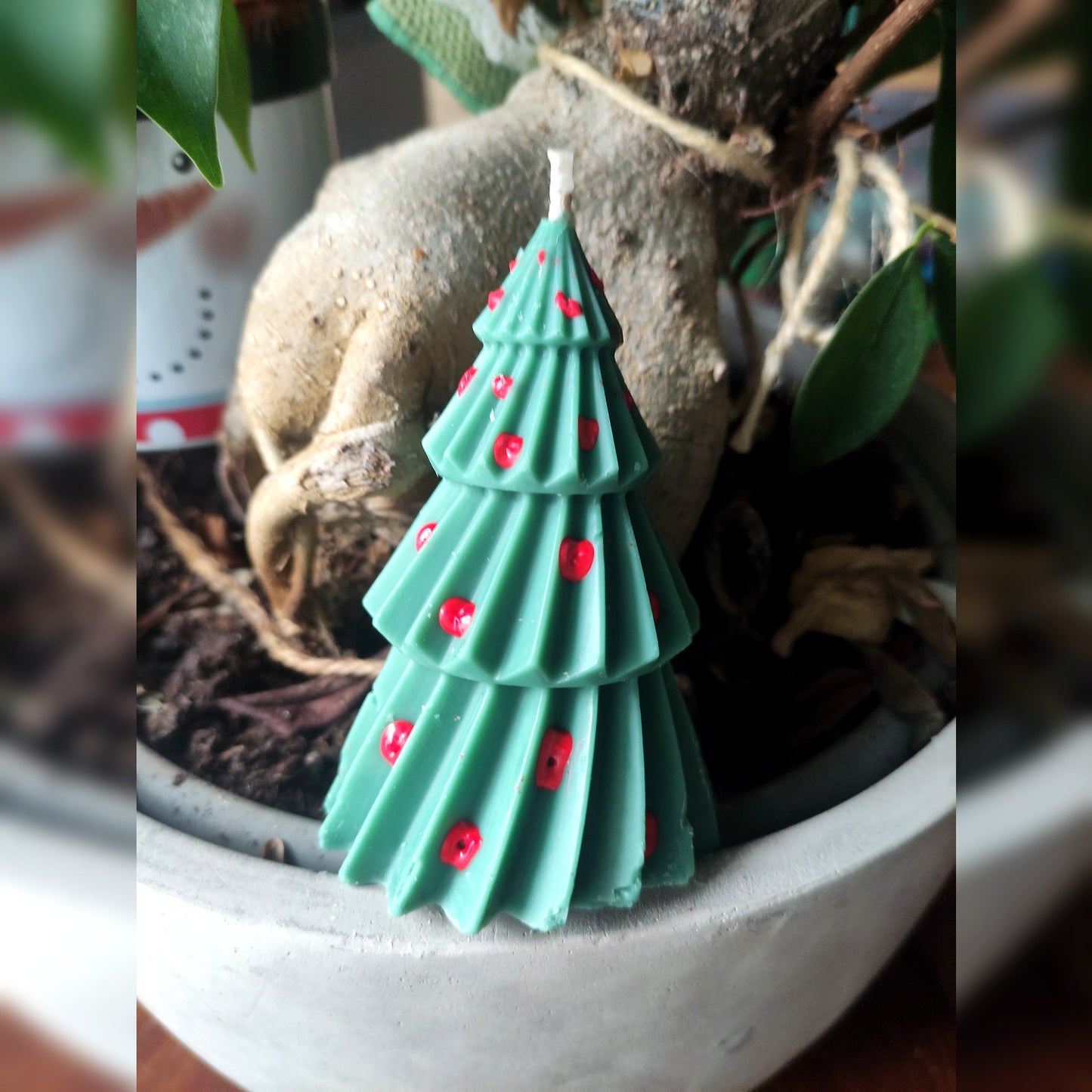 Le Sapin Vrille Grand - Cèdre 125g