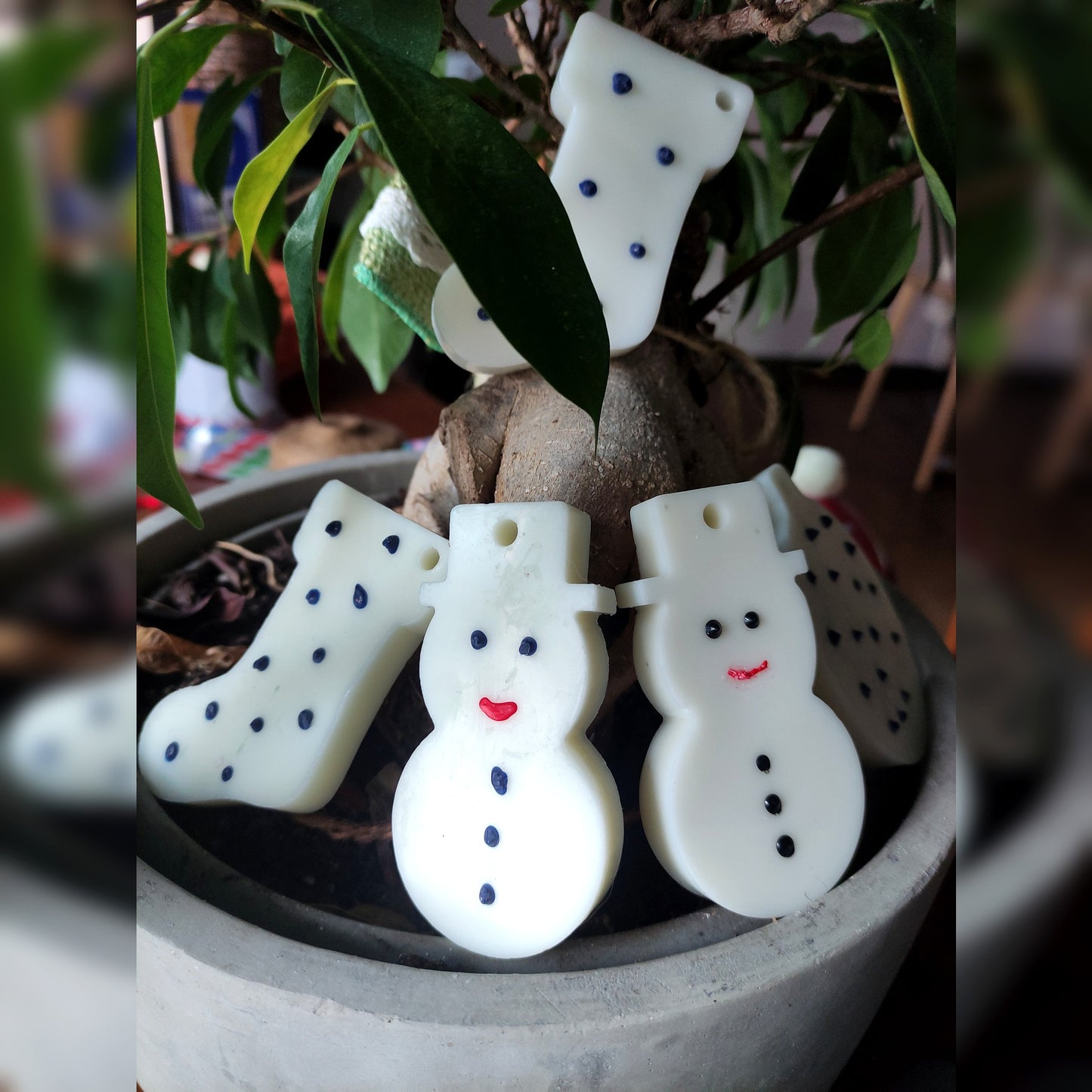 Lot déco Noël Points sans attaches - Cèdre 150g