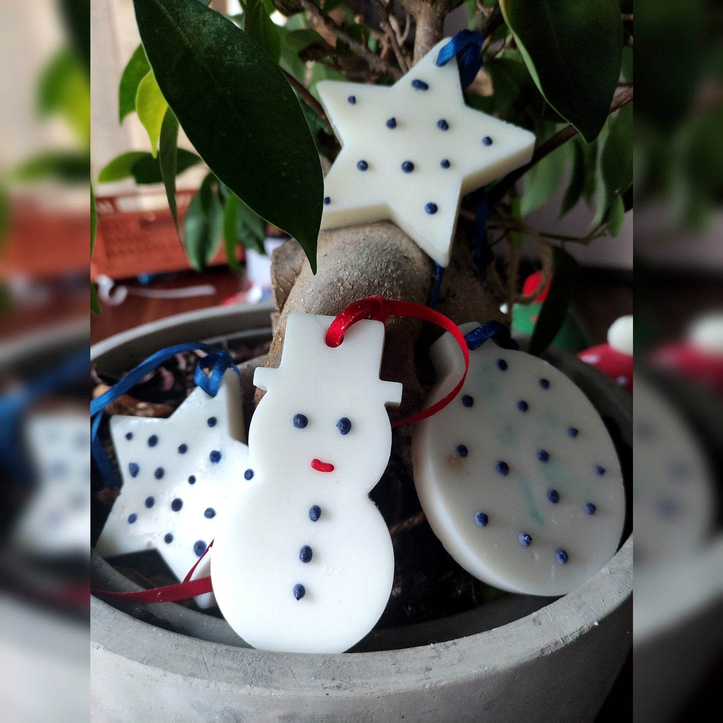 Lot déco Noël Points avec attaches - Cèdre 150g