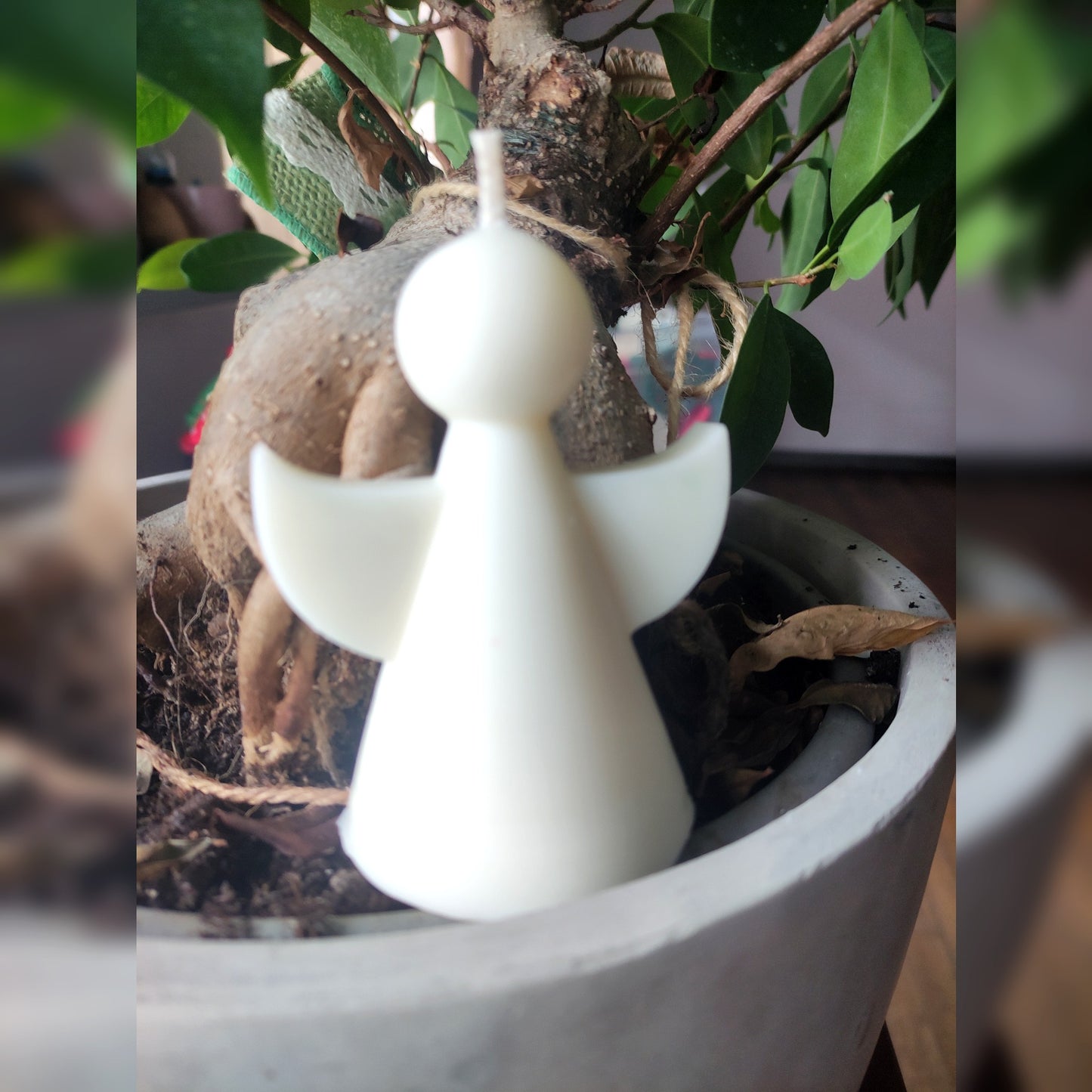 Mon Ange Gardien - Cèdre 50g