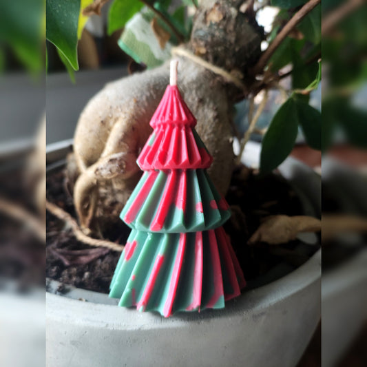 Le Sapin Vrille - Cèdre 80g