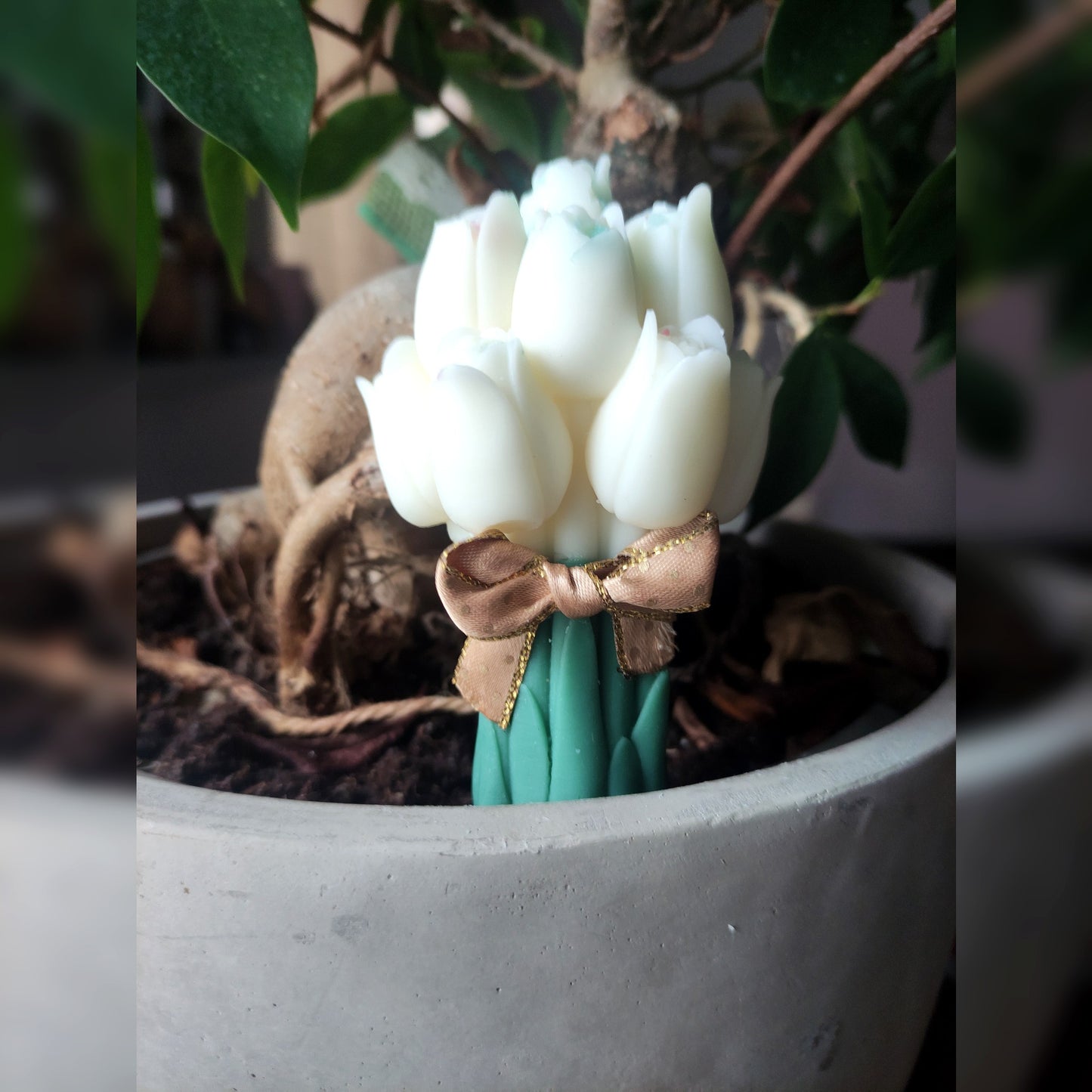 Bouquet tulipes 2 - Cèdre 105g