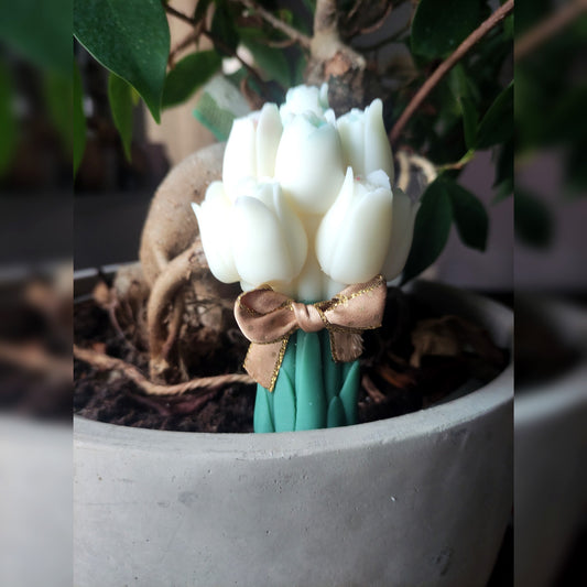 Bouquet tulipes 2 - Cèdre 105g