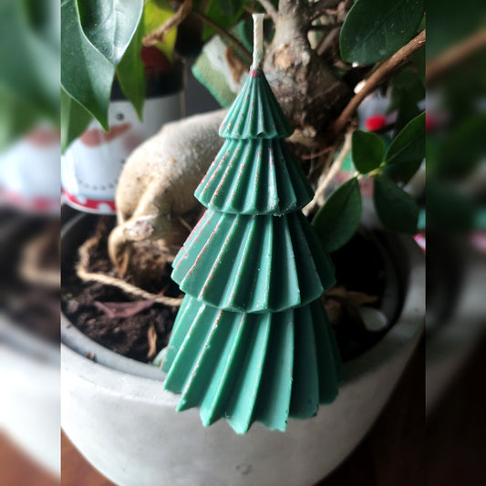 Le Sapin Vrille Grand - Cèdre 125g