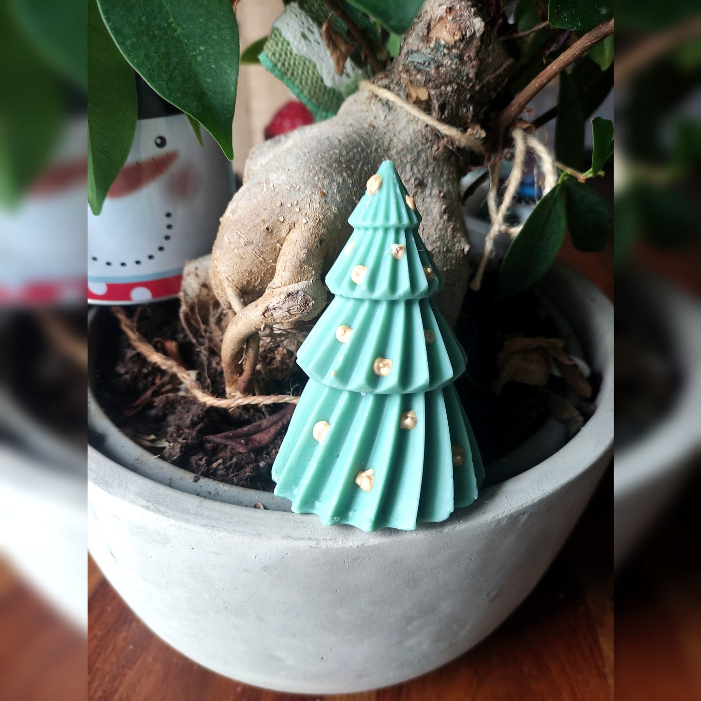 Le Sapin Vrille - Cèdre 80g