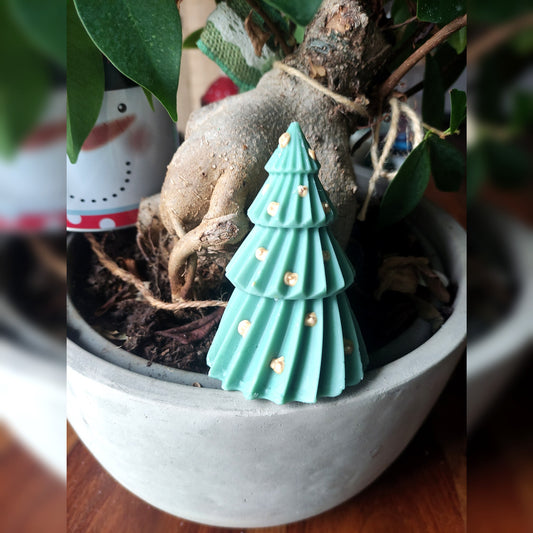 Le Sapin Vrille - Cèdre 80g