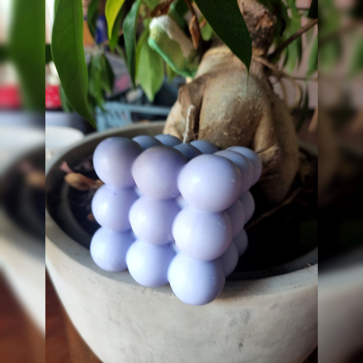 La Bubble - Cèdre 130g