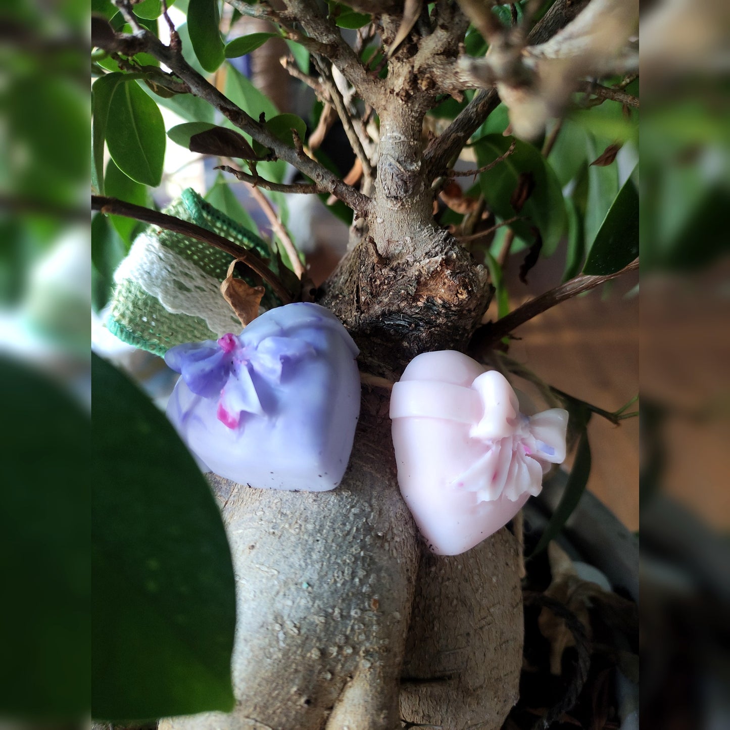 Lot de deux cœurs - Cèdre 60g