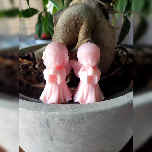 Duos de petits Anges - Cèdre 80g