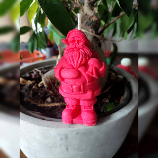 Le Père Noël - Cèdre 95g